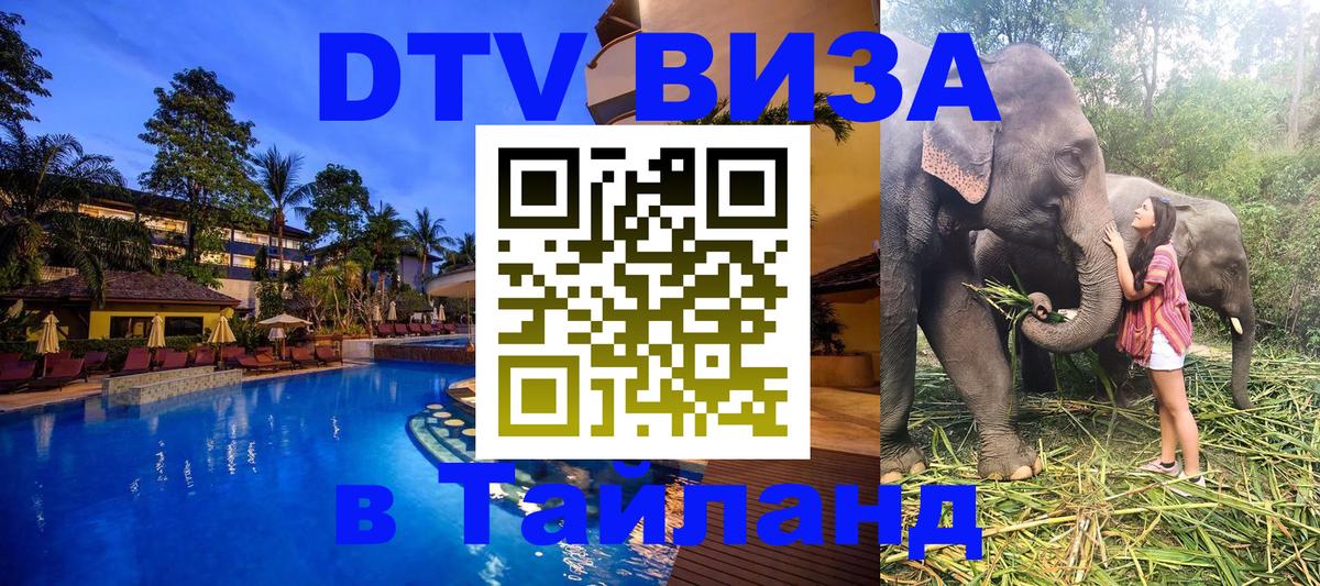 Оформление DTV визы под ключ: стоимость и тарифы, только загранпаспорт - Орехово-Зуево 